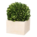 Artekko Boxwood Πράσινος Πλαστικός Τεχνητός Πύξος σε Μπεζ Κασπώ (14x14x18)cm