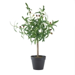 Artekko Olive Πλαστική Τεχνητή Ελιά σε Μαύρη Γλάστρα (40x30x66)cm