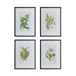 Artekko Botanical Λευκοί Πίνακες με Φυτά σε Μαύρη Κορνίζα (50x3x70)cm 4pcs