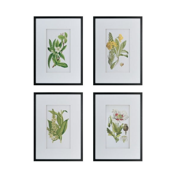 Artekko Botanical Λευκοί Πίνακες με Φυτά σε Μαύρη Κορνίζα (50x3x70)cm 4pcs