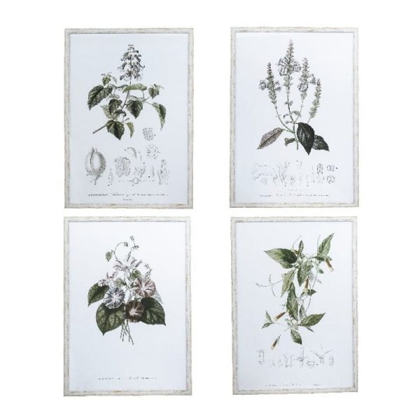 Artekko Botanical Καδράκια Τοίχου Λουλούδια Σετ/4 (50x3x70)cm